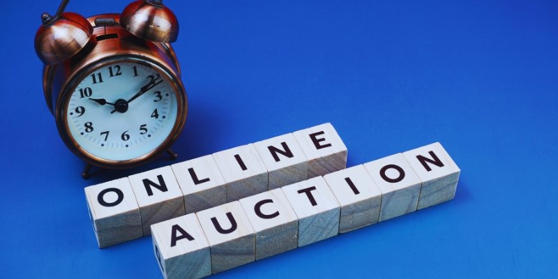 Establishing an Online Art Sales and Auction House Business in Singapore: A Guide for Aspiring Entrepreneurs